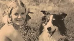 play Dark Lantern Entertainment presenteert: retro harig poesje, beestachtige actie